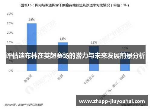 评估迪布林在英超赛场的潜力与未来发展前景分析 评估迪布林在英超赛场的潜力与未来发展前景分析