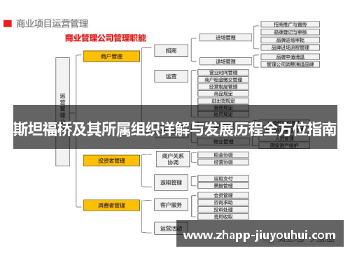 斯坦福桥及其所属组织详解与发展历程全方位指南 斯坦福桥及其所属组织详解与发展历程全方位指南