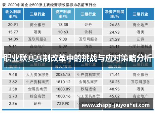 职业联赛赛制改革中的挑战与应对策略分析