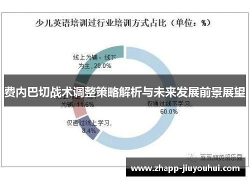 费内巴切战术调整策略解析与未来发展前景展望