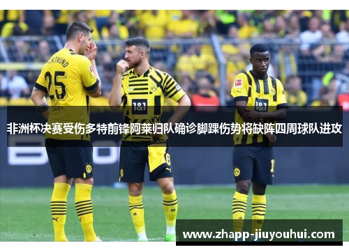 非洲杯决赛受伤多特前锋阿莱归队确诊脚踝伤势将缺阵四周球队进攻 非洲杯决赛受伤多特前锋阿莱归队确诊脚踝伤势将缺阵四周球队进攻